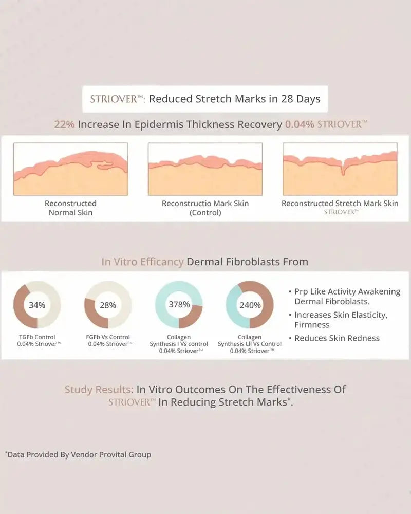Diagram showing the effectiveness of STRIOVER in reducing stretch marks with skin layers and percentage increases.