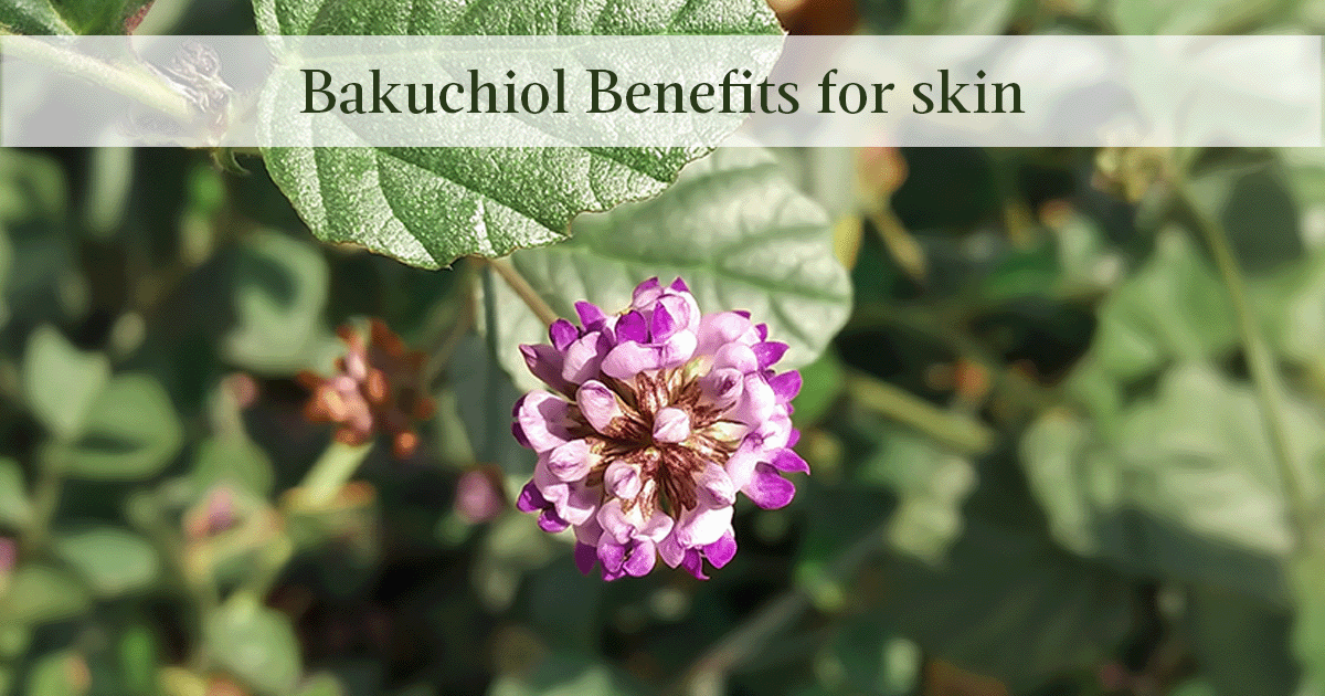 The Secret to Radiant Skin: 4 Amazing Skin Benefits of Bakuchiol