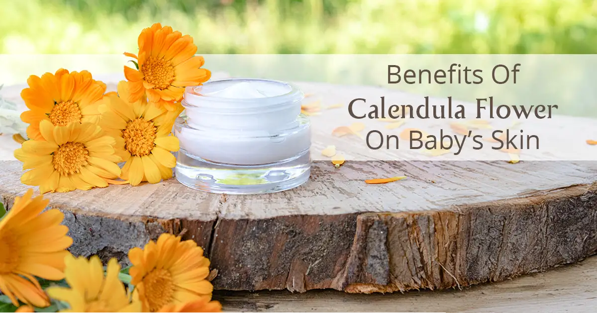 From Nature To Baby Skincare: Benefits Of Calendula Flower & Its Extract