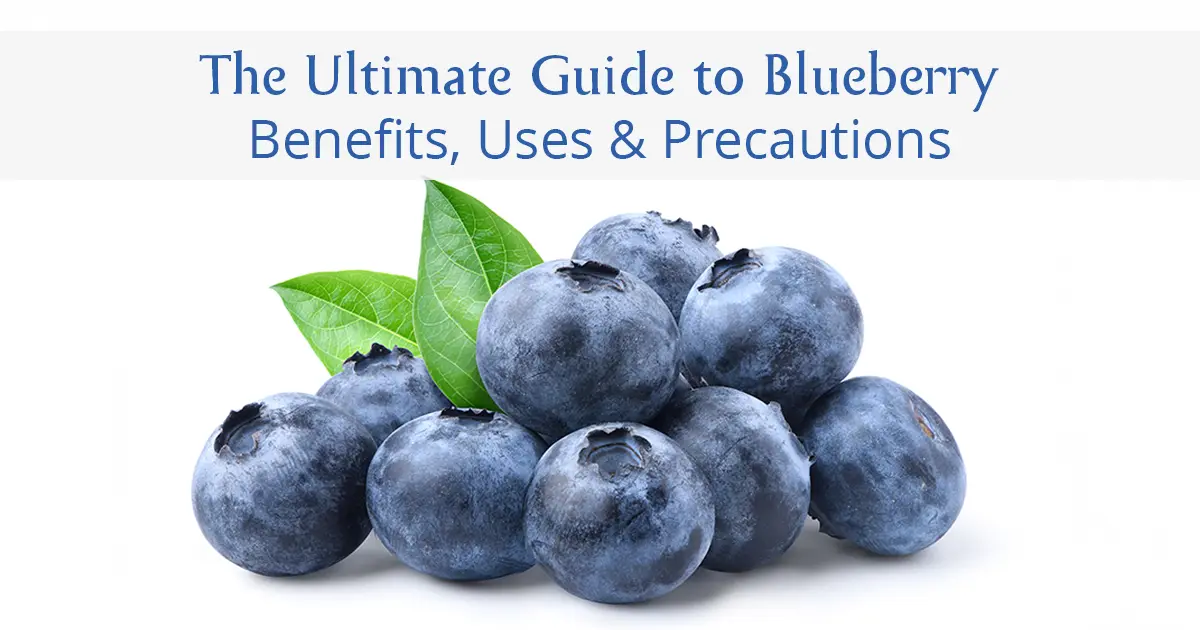 Benefits of Blueberry: Uses, Nutritional Value, and Side Effects Explained