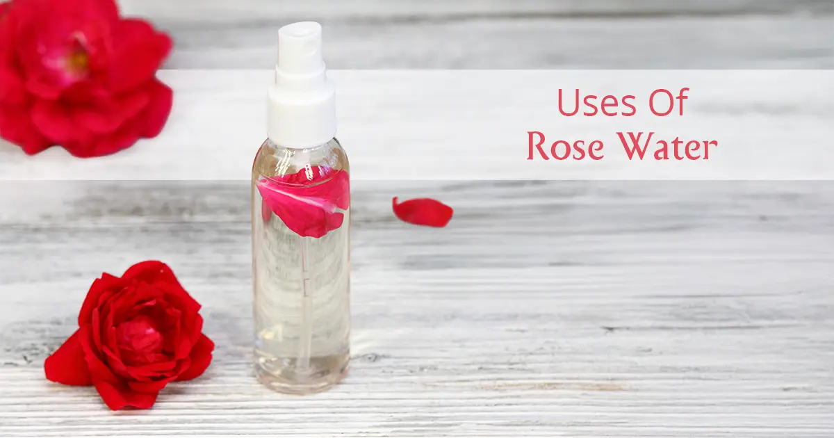 Skincare Secrets: 5 Amazing Beauty Uses Of Rose Water