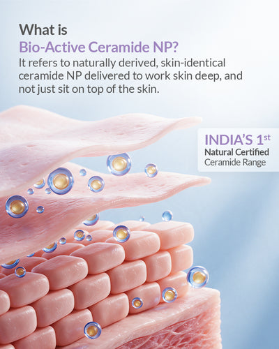 Diagram of Bio-Active Ceramide NP penetrating skin layers for Bathing Bar Baby Lotion.