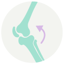 Bone-Formation-Assay