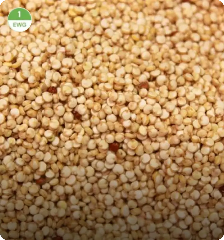 Quinoa Seed Extract
