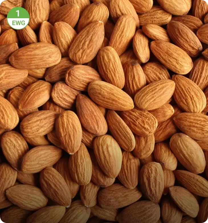 Sweet Almond Oil